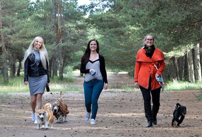 Eesti Loomakaitse Seltsi uus juhatus kutsub üles loomadele hoiukodu pakkuma