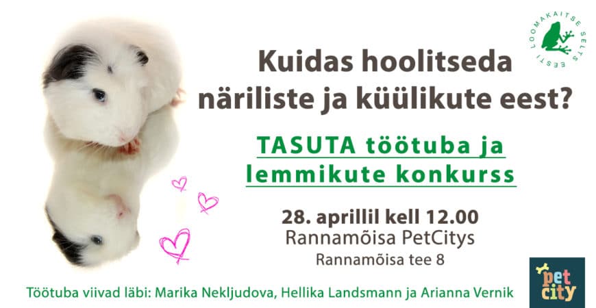 PRESSITEADE: Eesti Loomakaitse Selts kutsub osalema näriliste töötoas