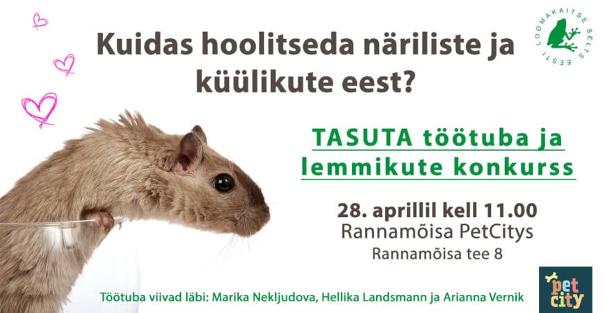 Eesti Loomakaitse Selts tutvustab: Näriliste töötuba 2018 PÄEVAKAVA