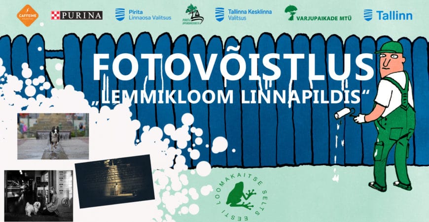 Pressiteade: Eesti Loomakaitse Selts kuulutab Käpakäik 2018 raames välja fotovõistluse “Lemmikloom linnapildis”