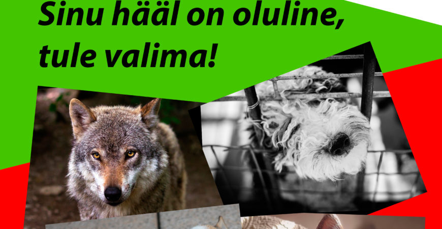 Eesti Loomakaitse Selts kutsub valima aasta loomasõbralikku ja – vaenulikku tegu