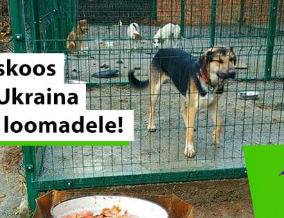 Pressiteade: Tee Ukraina loomadele jõuluannetus