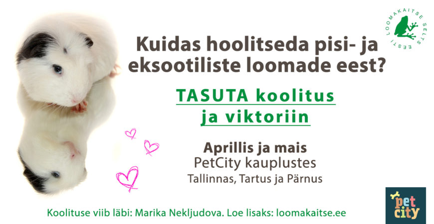 Pressiteade: Eesti Loomakaitse Selts kutsub osalema pisi- ja eksootiliste loomade koolitusel