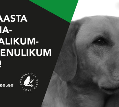 Hääleta 2019. aasta kõige loomasõbralikum ja – vaenulikum tegu