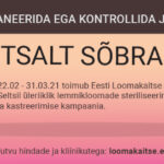 Hooli oma lemmikloomast – ära lase tal saada soovimatuid järglasi
