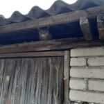 Omavalitsusel ei ole õigust panna hulkuva looma toitjale loomaomaniku kohustusi