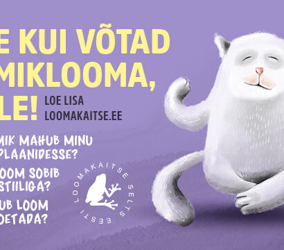 Kust soetada lemmikloom ning millele pöörata tähelepanu?