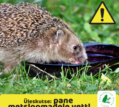 Üleskutse: pane metsloomale vett!