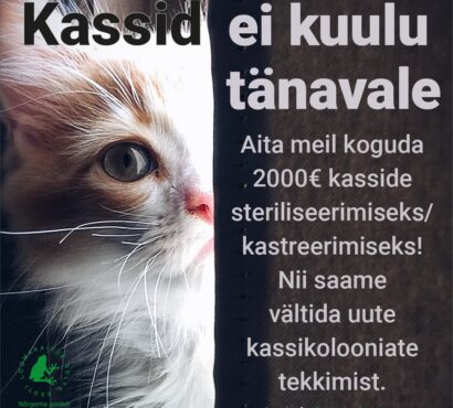 Toeta kasside steriliseerimist/kastreerimist!