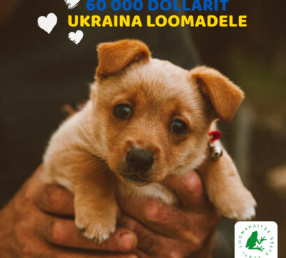 USA organisatsioon annetas Loomakaitse Seltsile Ukraina loomade aitamiseks suure summa.
