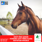 Eesti üks vanim hobune leiti tänu ELS-ile esitatud vihje tõttu