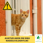 Avatud aken on Sinu kassile eluohtlik!