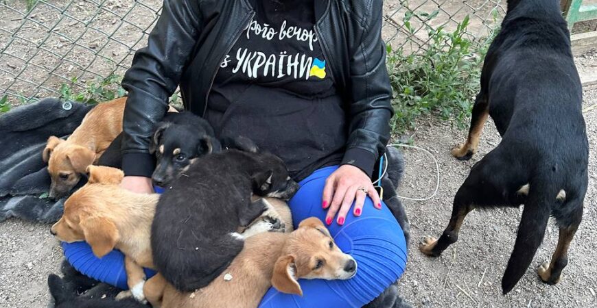 Loomade kaitsmine sõja olukorras Ukrainas