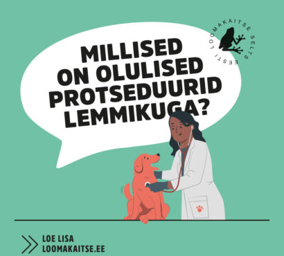 Millised on olulised protseduurid lemmikloomaga?