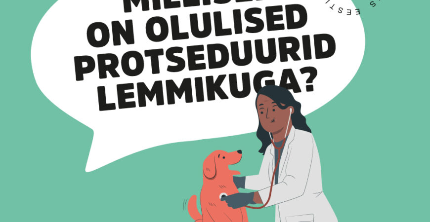 Millised on olulised protseduurid lemmikloomaga?