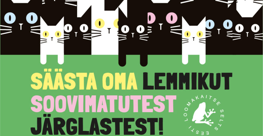 4 põhjust, miks lasta steriliseerida või kastreerida oma lemmikloom?