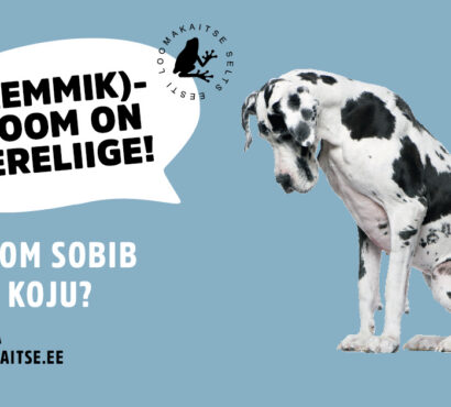 Kas loom sobib igasse koju? Lemmikloomal ei ole off ja on nuppu.