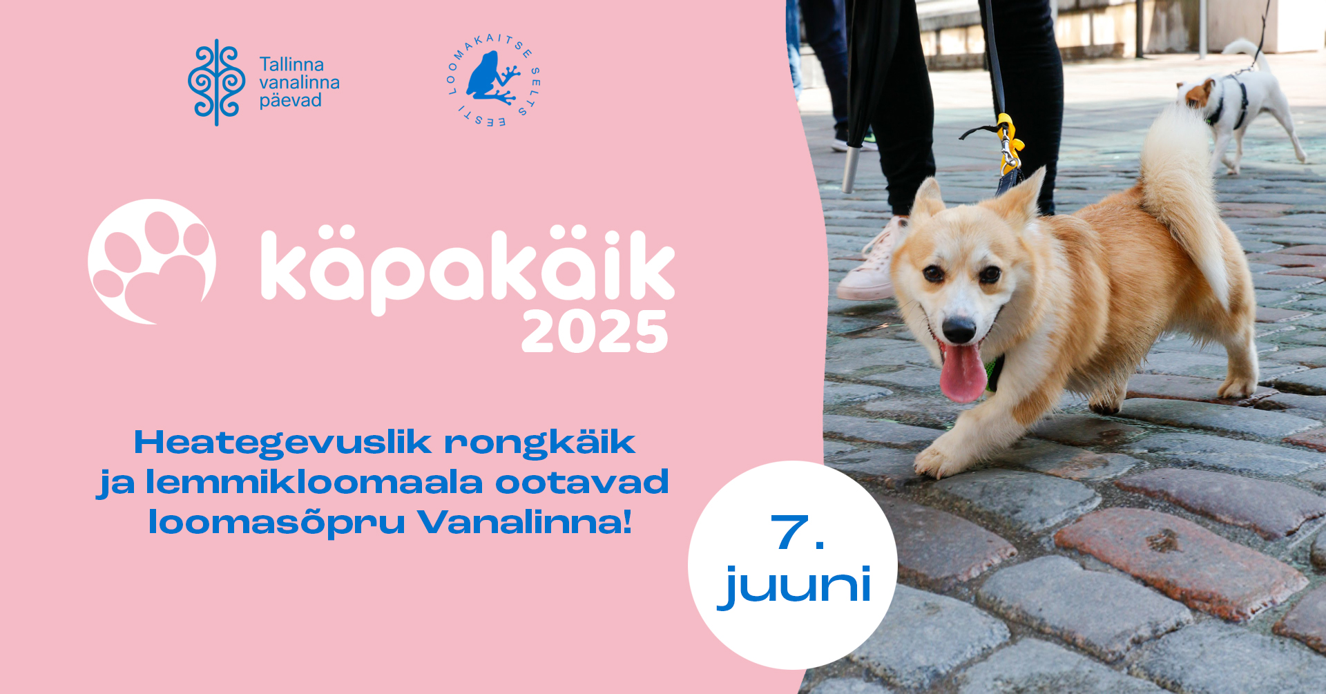 Laupäeval, 7. juunil toimub Tallinnas heategevuslik üritus Käpakäik 2025, mille raames leiab aset rongkäik läbi Tallinna vanalinna ning Šnelli pargis tegutseb k