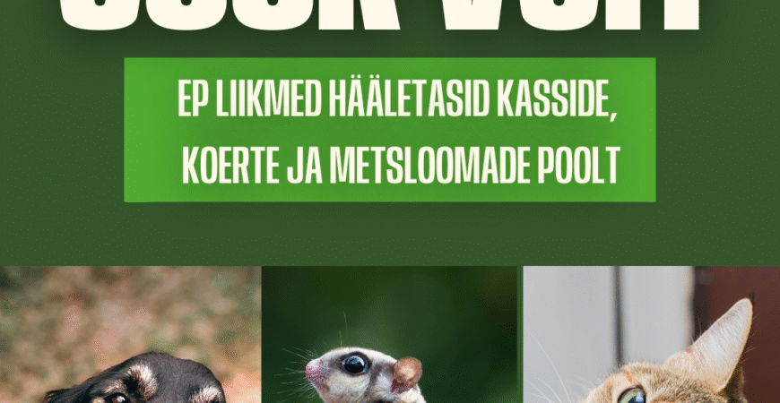 Euroopa Parlament hääletas lemmikloomade kõrgemate heaolu nõuete poolt!