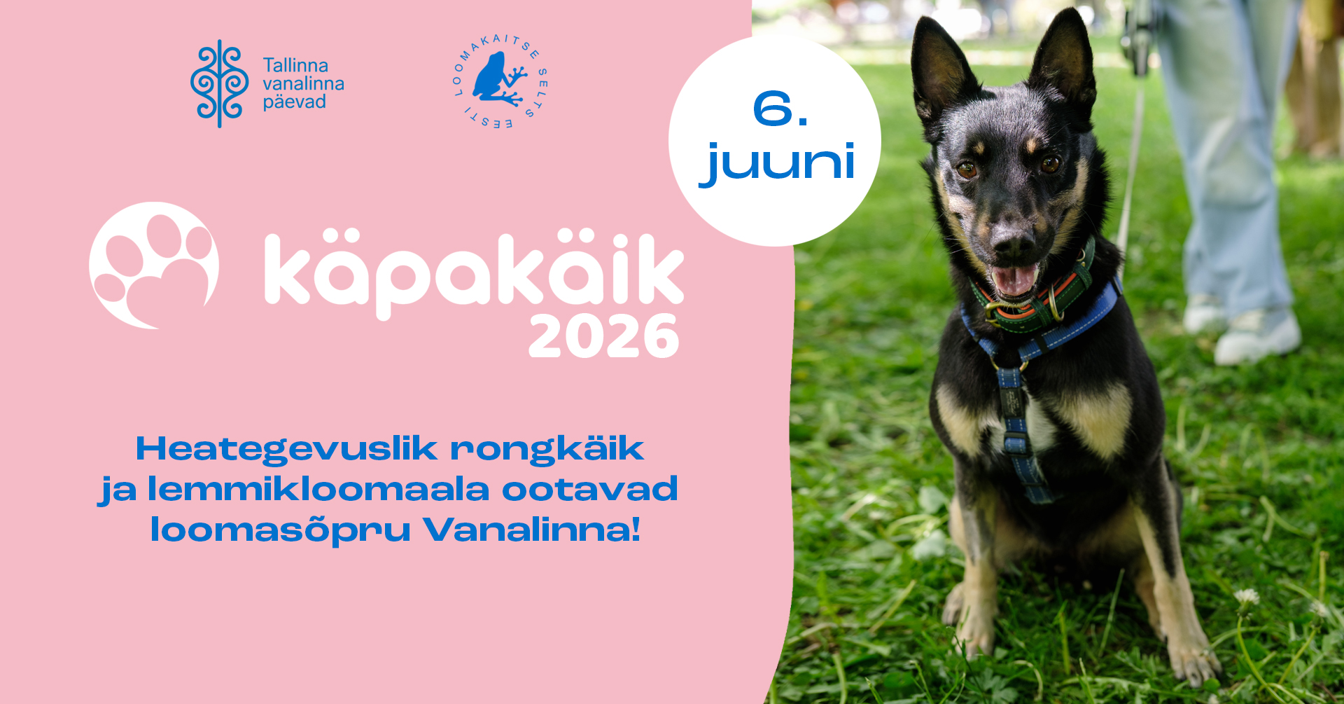 Laupäeval, 6. juunil, kutsub Eesti Loomakaitse Selts kõiki loomasõpru ja sõbralikke neljajalgseid panema oma käpad käima heategevuslikul rongkäigul “Käpakäik”. 