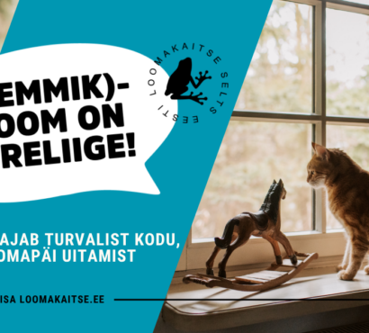 Eesti Loomakaitse Selts: kass vajab turvalist kodu, mitte omapäi uitamist